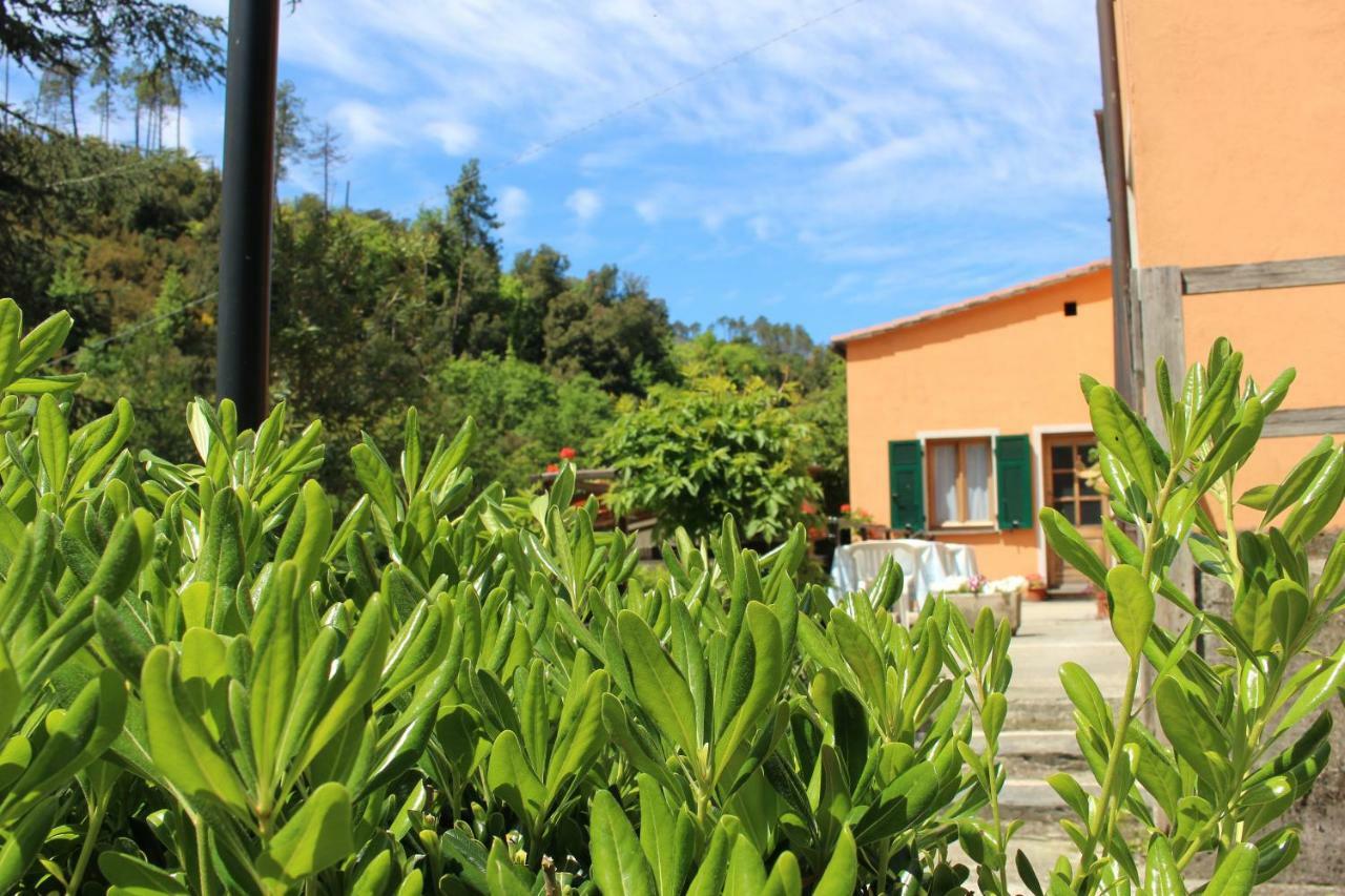 Affittacamere Angela Levanto Exterior foto